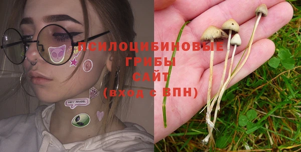 мдма Богородск